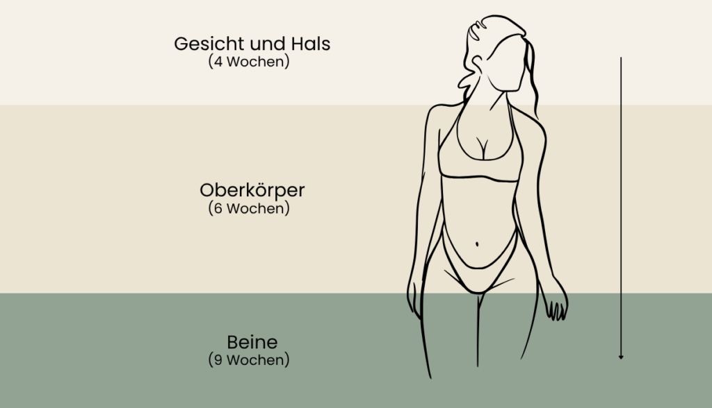 Laser Haarentfernung_Behandlungsabstände nach Körperregion